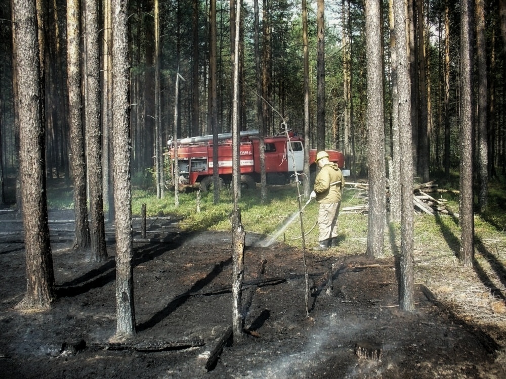 В Костромской области потушили два лесных пожара