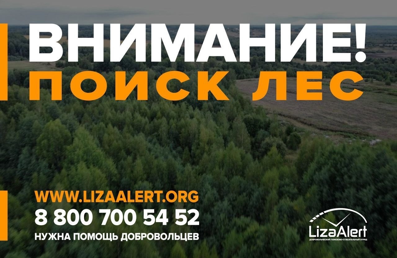 В костромских лесах заблудился еще один пенсионер