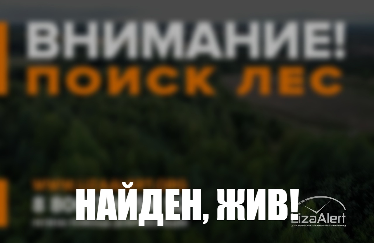 На северо-востоке Костромской области спасли в лесу заблудившегося подростка