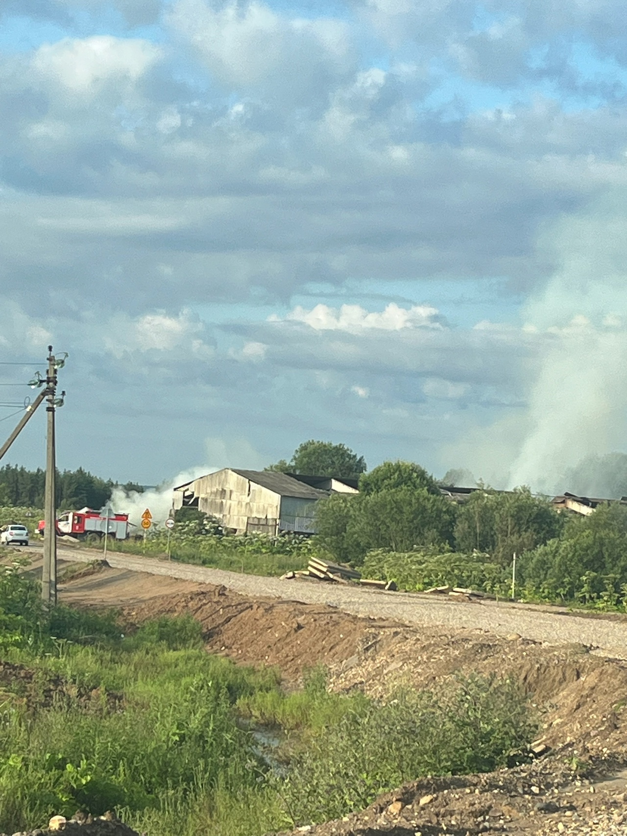 Лошади костромского конезавода остались без еды из-за пожара