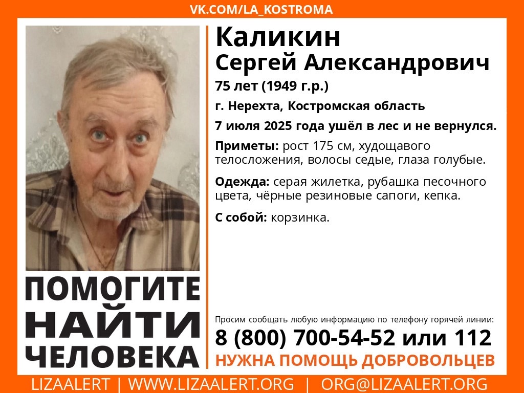 В лесу под Костромой второй день ищут дедушку