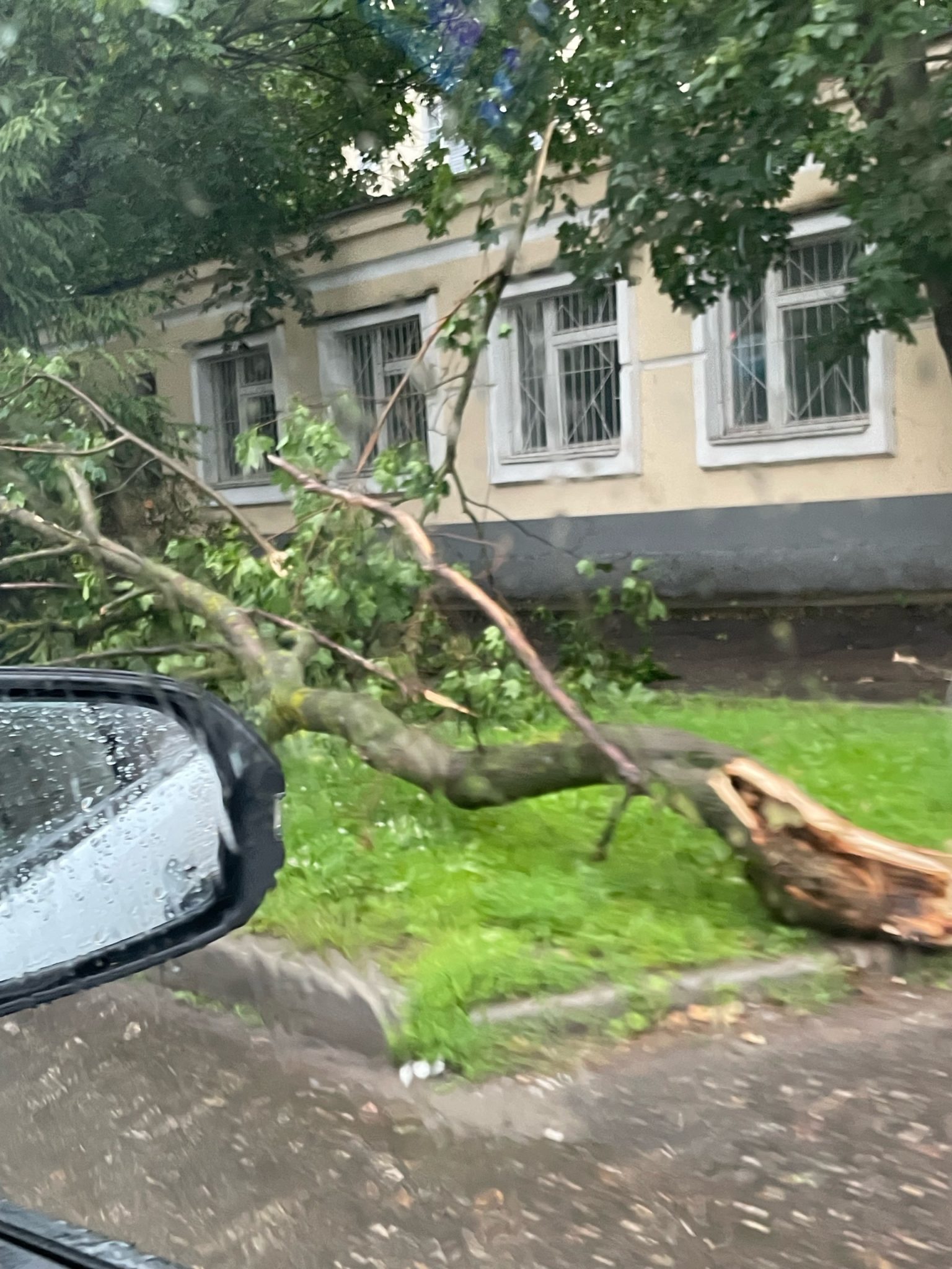 Страшная гроза оставила костромичей без деревьев, света и машин