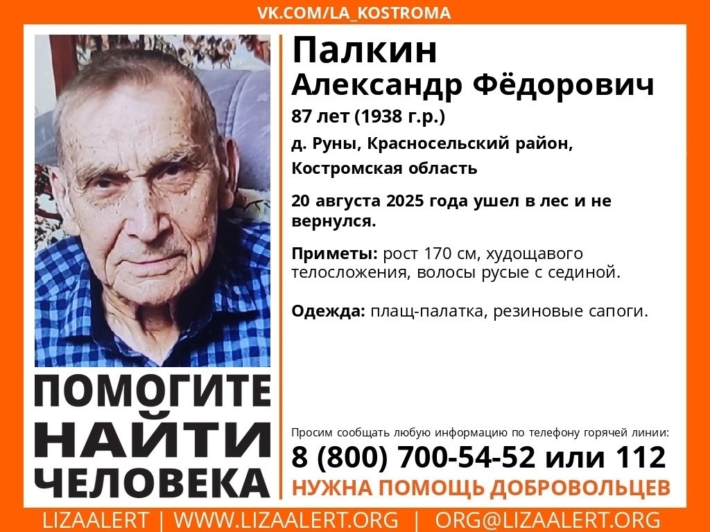 Работает БПЛА: в красносельских лесах под Костромой ищут пенсионера почти неделю