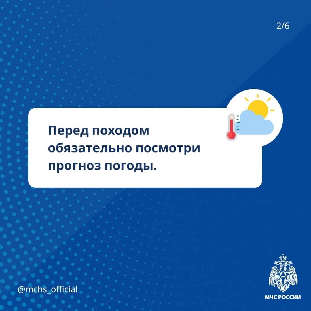 МЧС подготовило для костромских грибников специальную памятку