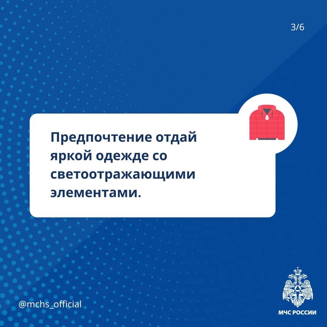 МЧС подготовило для костромских грибников специальную памятку