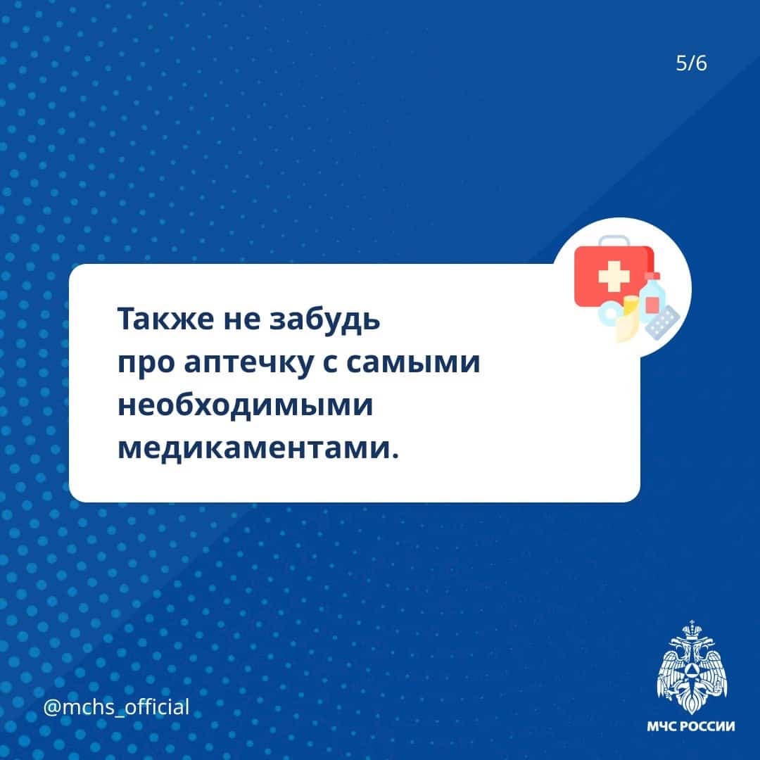 МЧС подготовило для костромских грибников специальную памятку