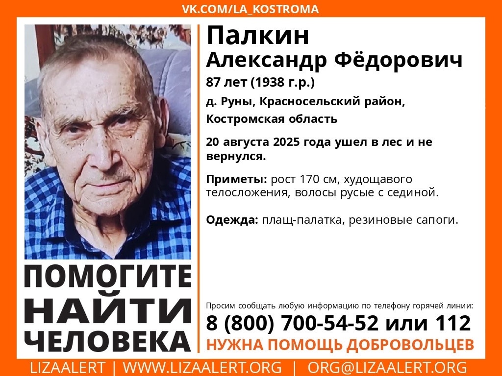 В Костромской области второй день ищут 87-летнего пенсионера