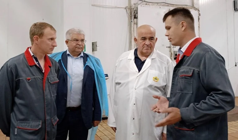 Костромское предприятие «Боговар» осваивает выпуск халлуми в брусках