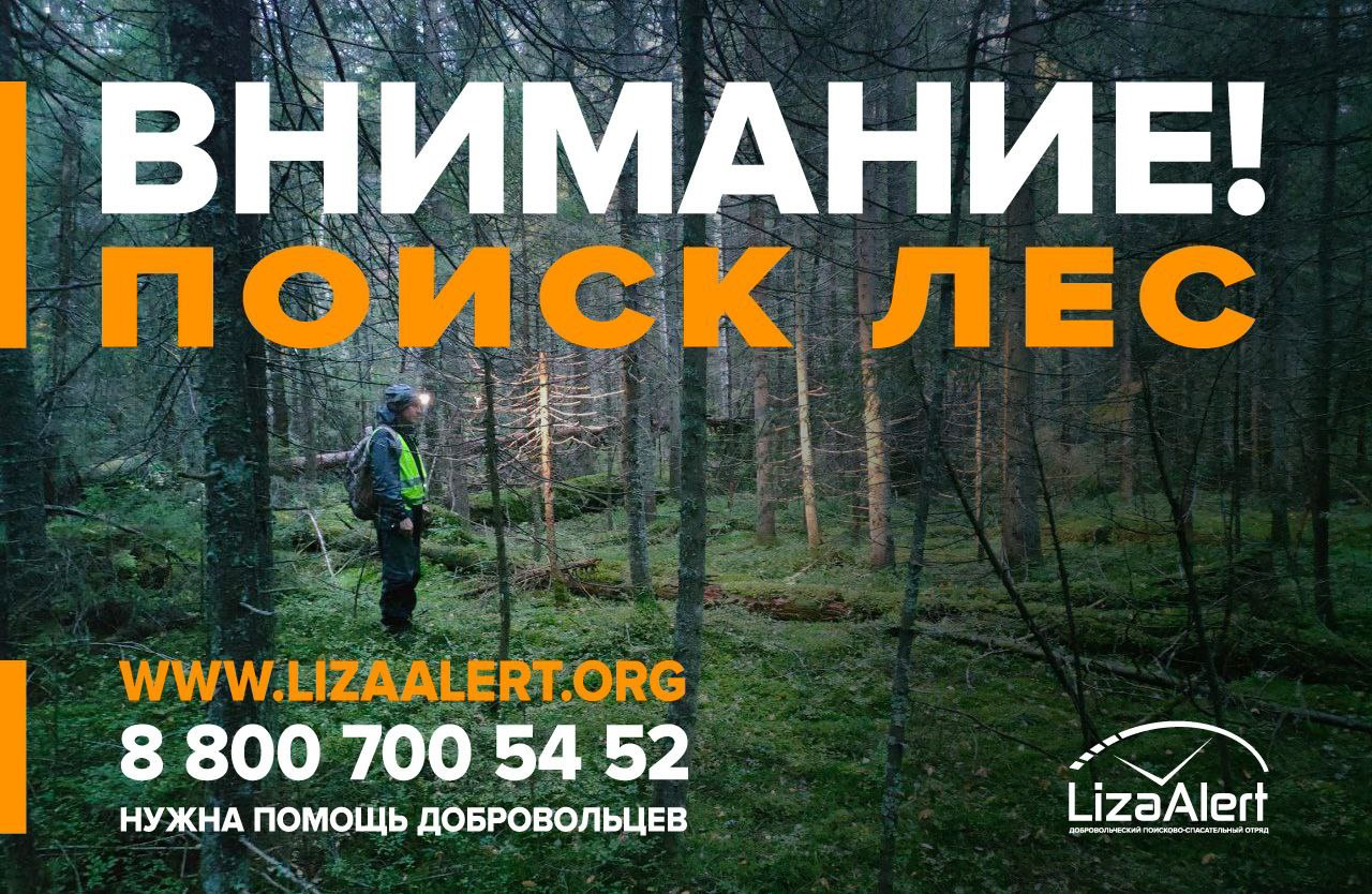 В костромских лесах ищут пару пропавших женщин