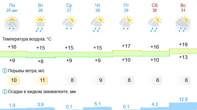Косые дожди: на неделе костромичей поджидает осень