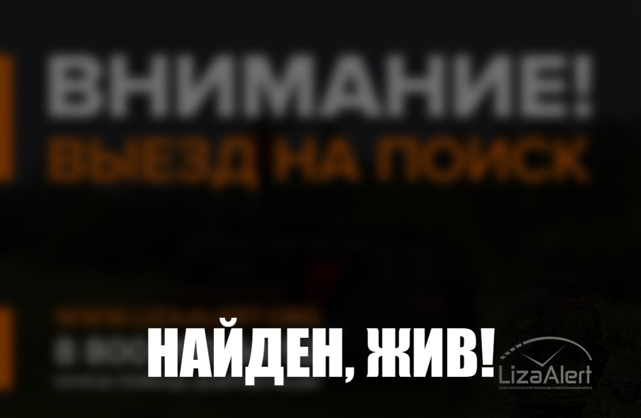 Пропавшего костромского школьника нашли живым