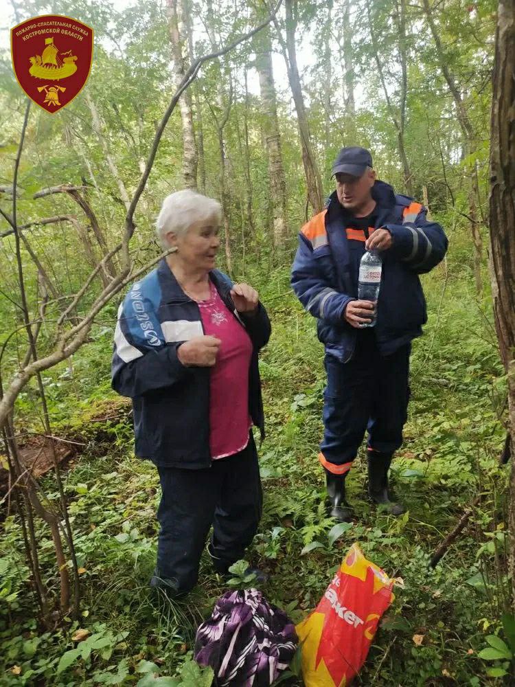 Костромские спасатели вывели из леса пропавшую пожилую женщину
