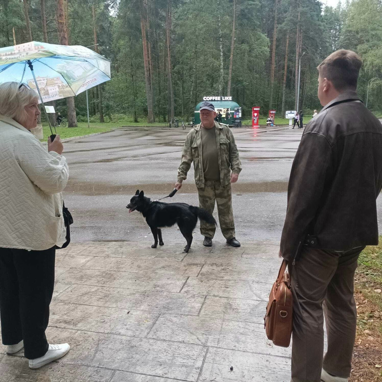 В костромском парке провели рейды по проверке собачников