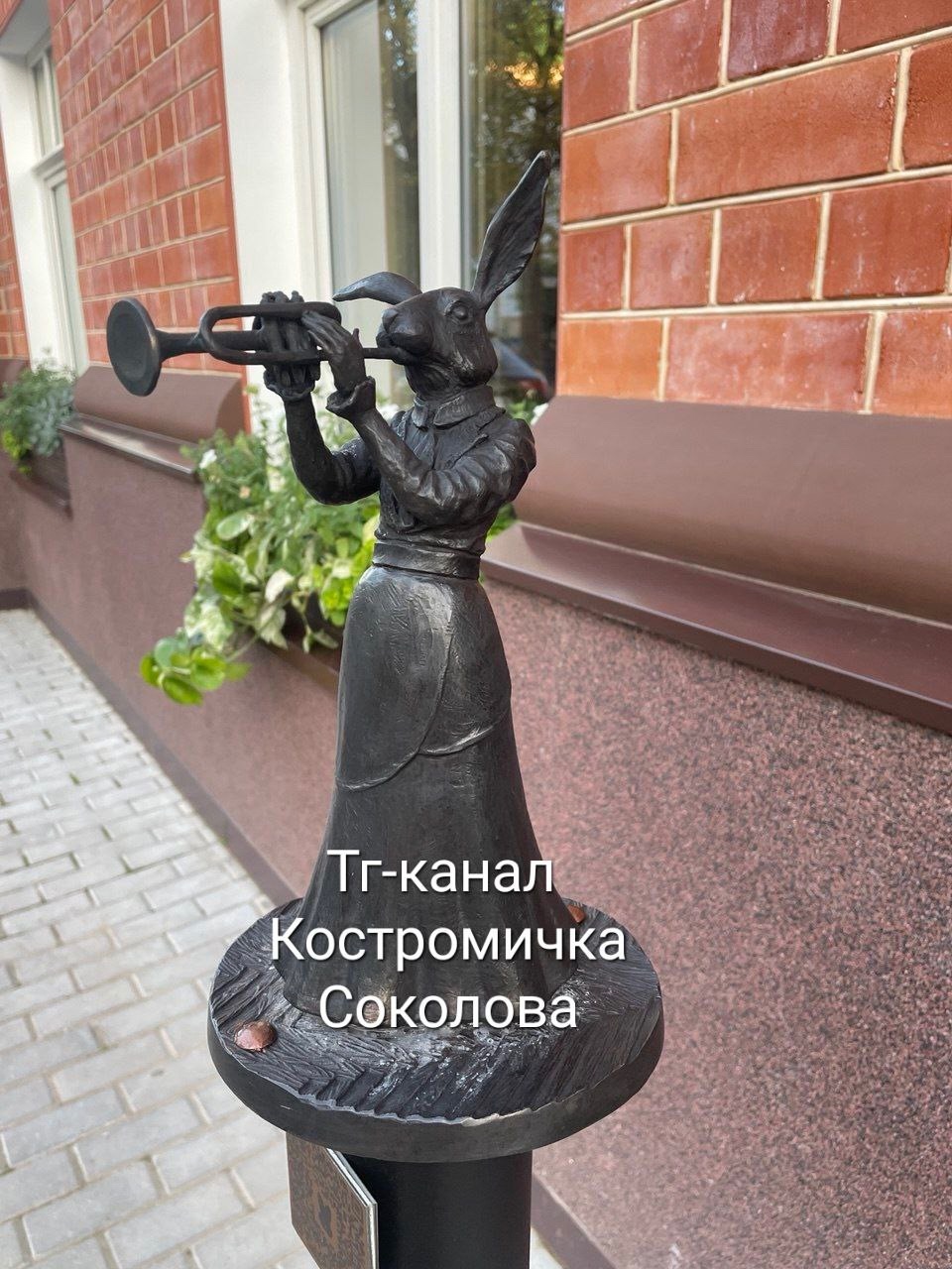 В центре Костромы обнаружили Мазайскую зайчиху-музыканта