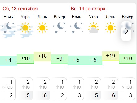 Туман и прохладные вечера ждут костромичей на выходных