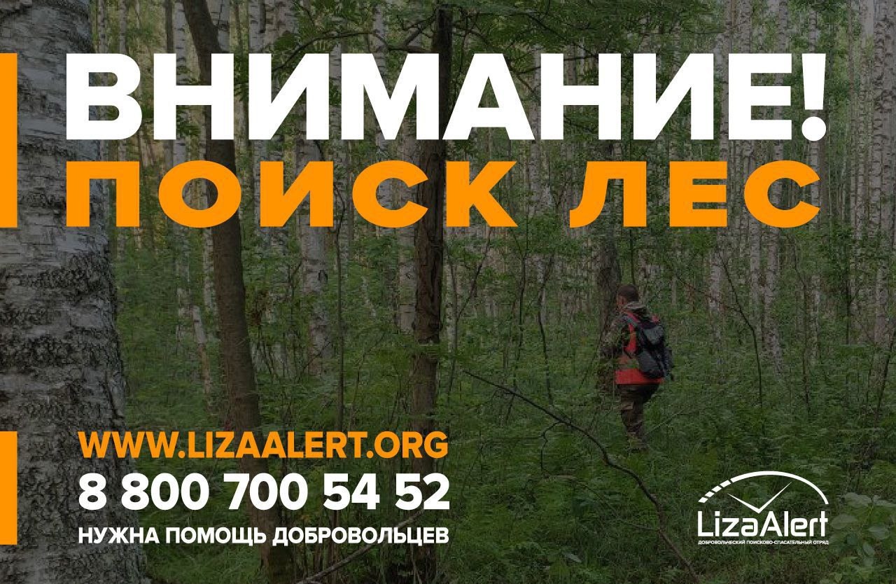 87-летний пенсионер заблудился в костромском лесу