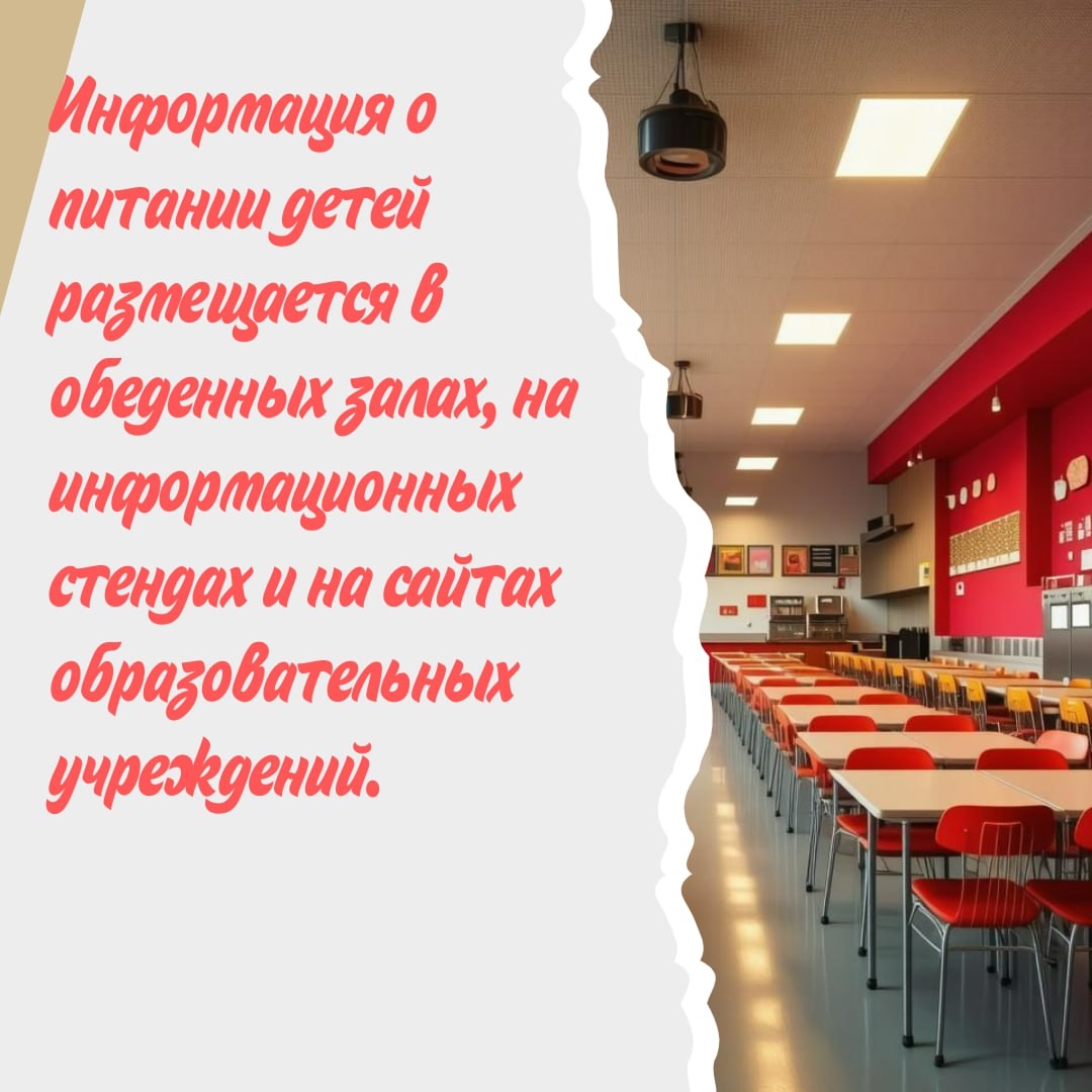 Никаких бургеров: костромичам рассказали о школьном питании в новом учебном году