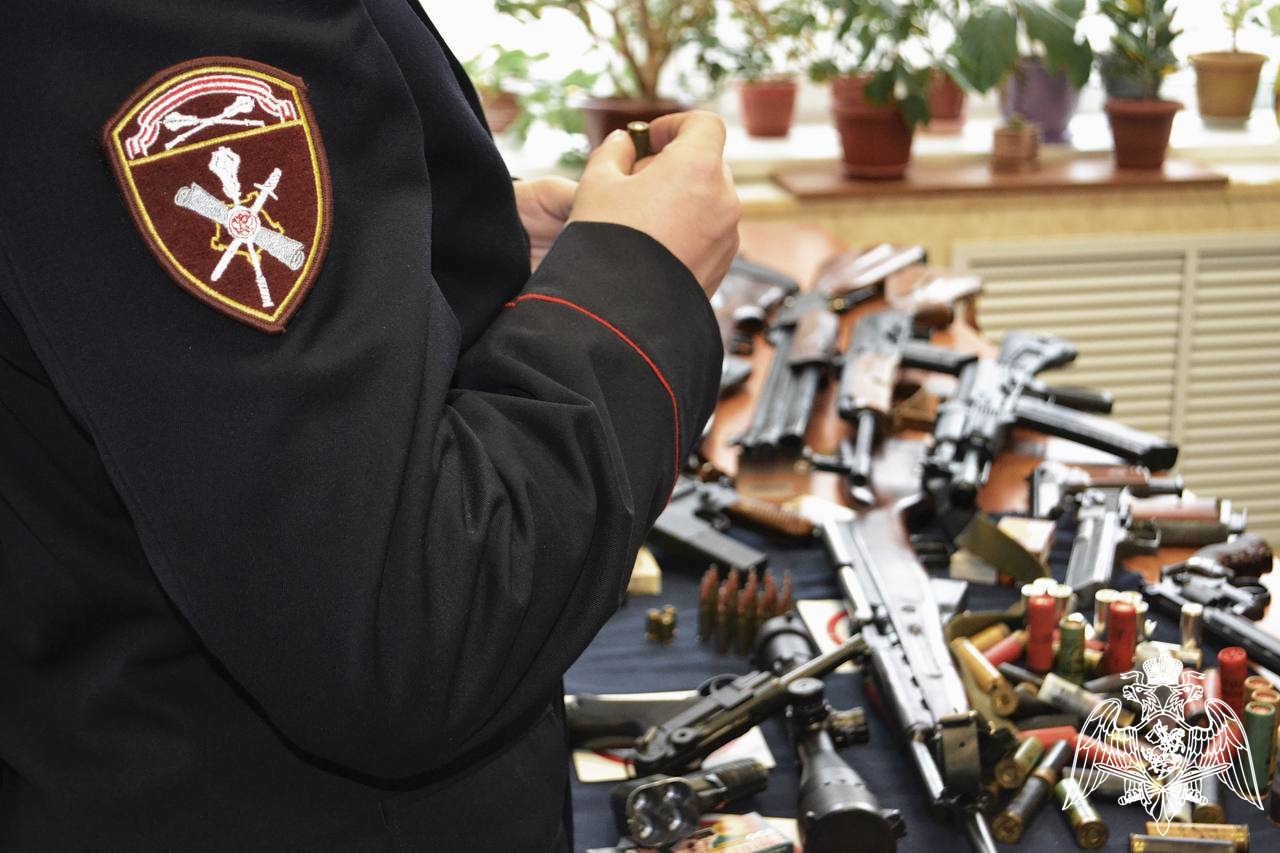 У костромичей изъяли 260 боеприпасов в ходе операции "Выстрел"