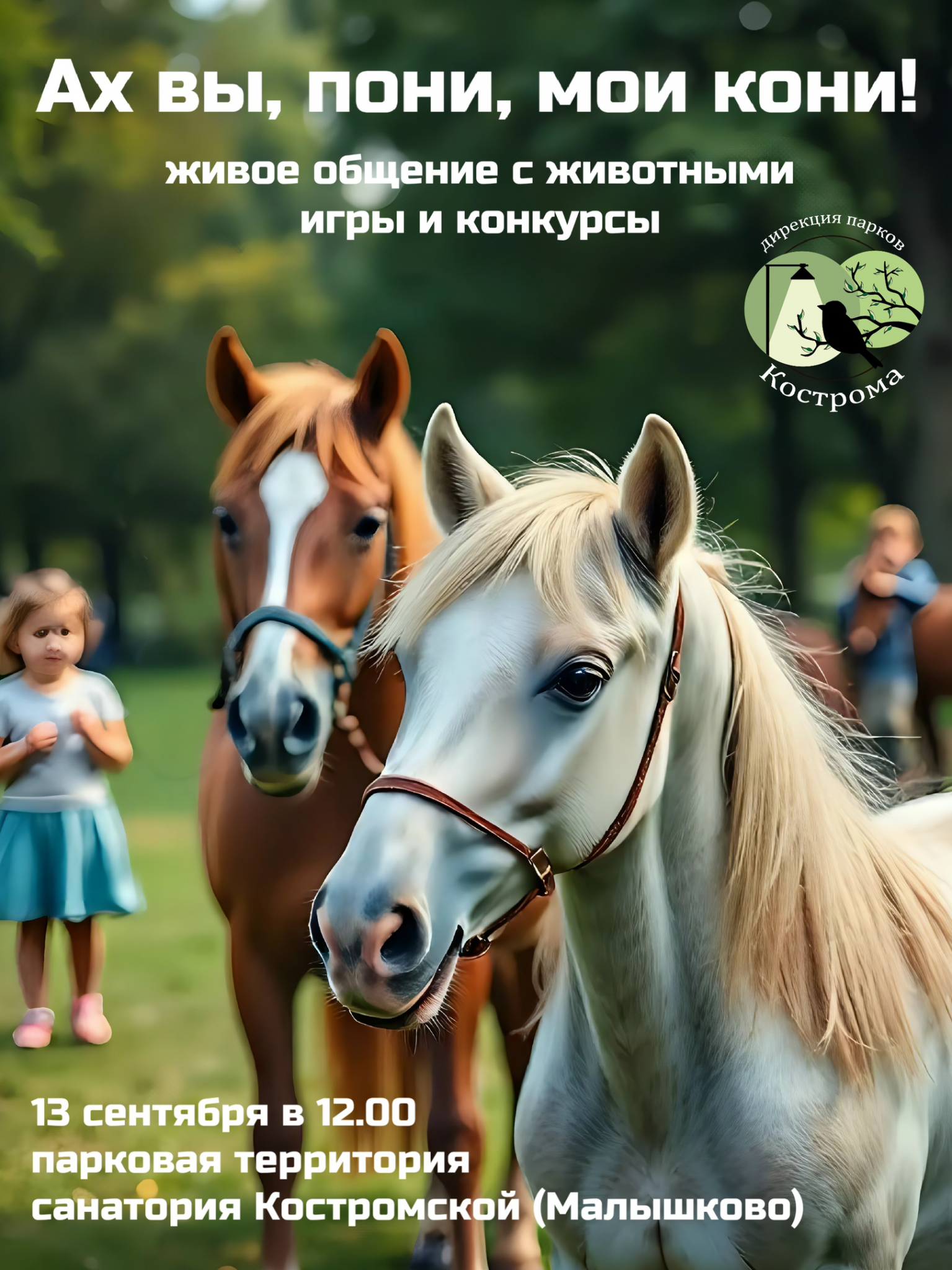Лошади, пони, волкодав: костромичей приглашают на необычную встречу
