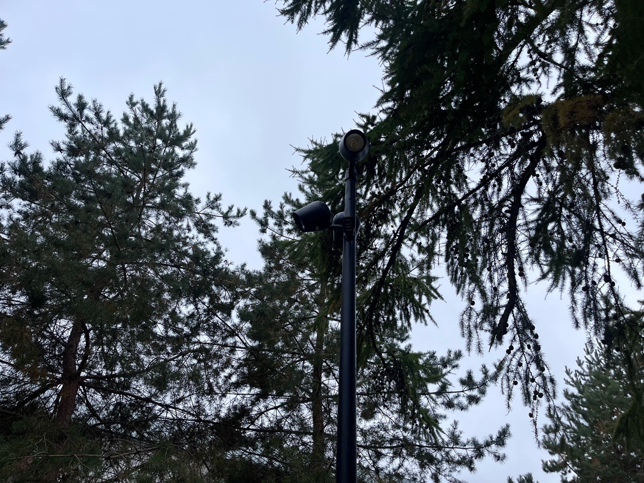 Лаз-тоннель и оригинальный ручеек: в Костроме осовременили сквер со слоником