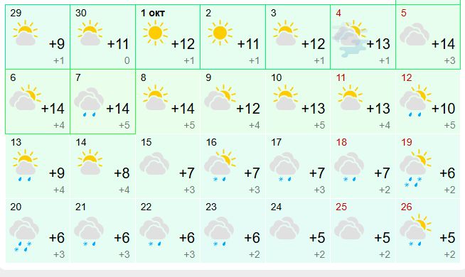 Теплая неделя ждет костромичей в октябре