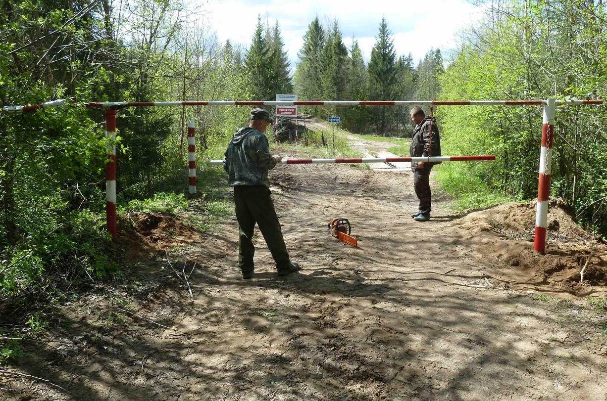 Дожди не смогли снизить высокую пожароопасность в Костромской области