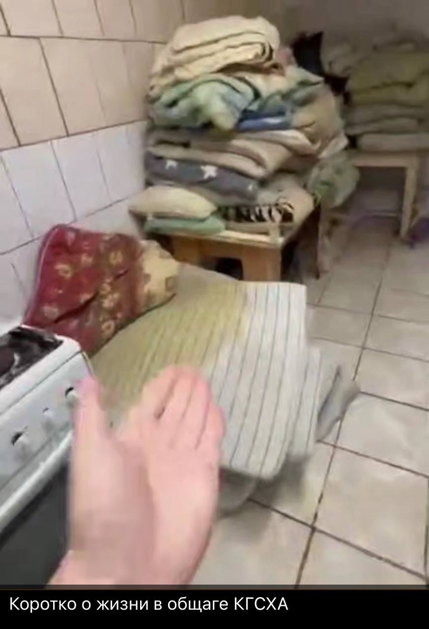 Прокуратура начала проверку общежития костромской сельхозакадемии