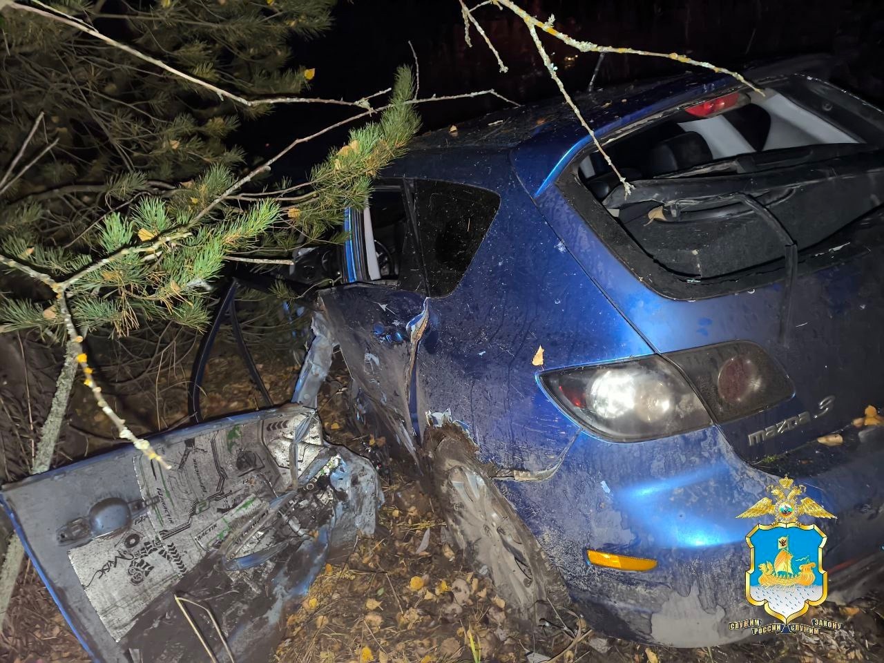Погибшая в страшном ДТП в костромском селе девочка мечтала стать полицейским