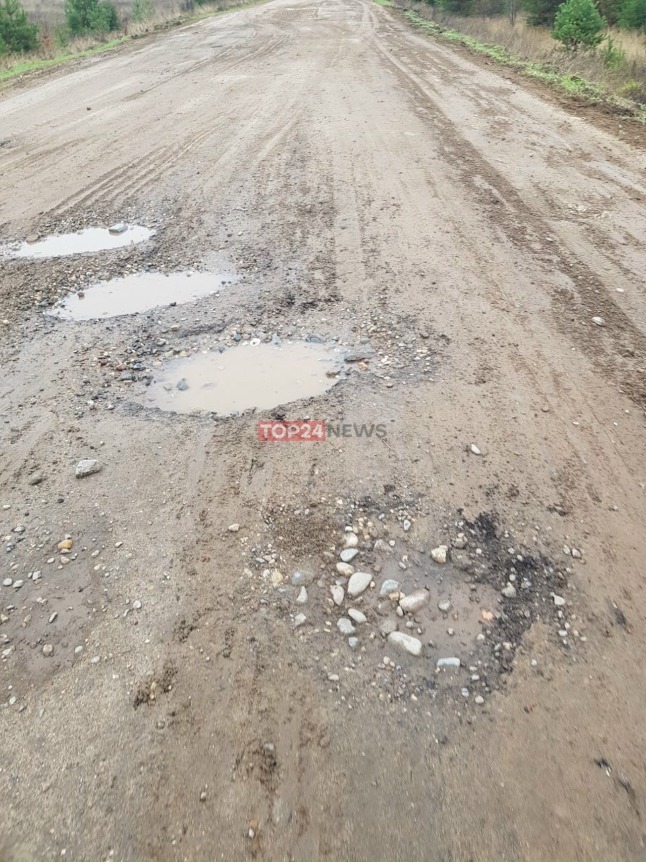 Лопатой землю кидали из кузова: жители деревни в Костромской области жалуются на дорогу