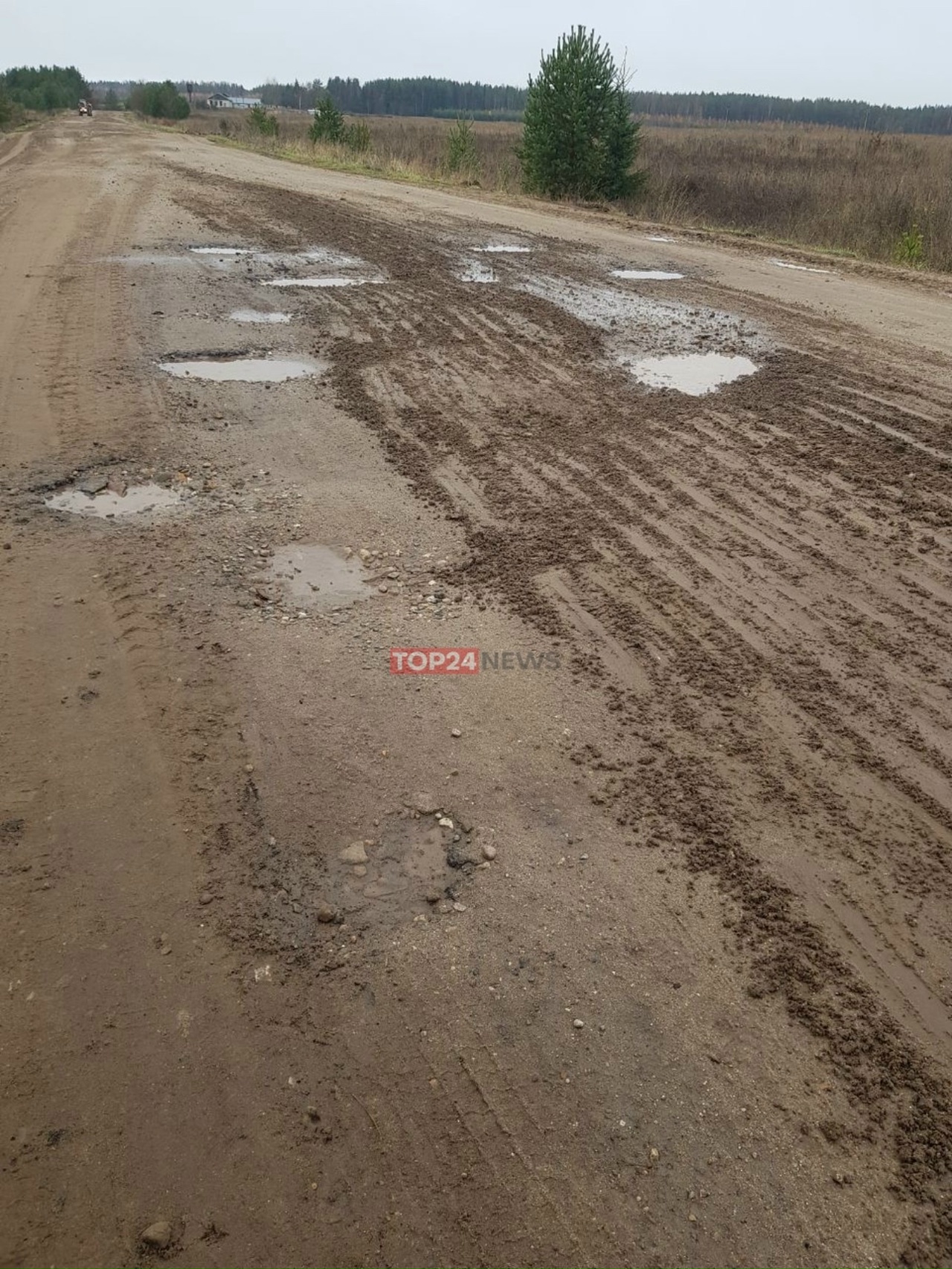 Лопатой землю кидали из кузова: жители деревни в Костромской области жалуются на дорогу
