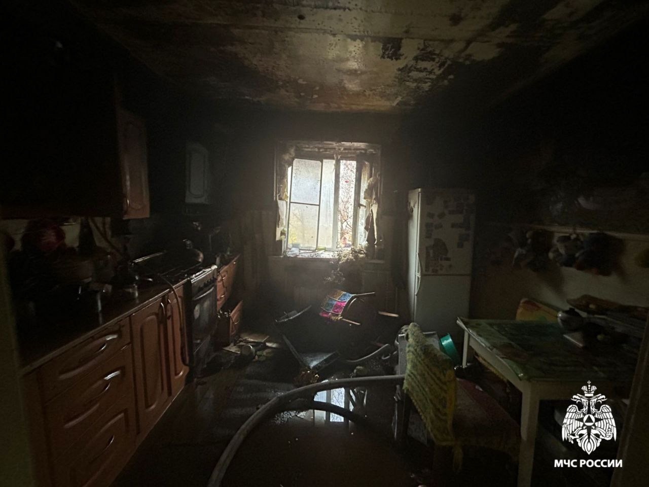 Из пожара под Костромой спасли двух людей и кошку