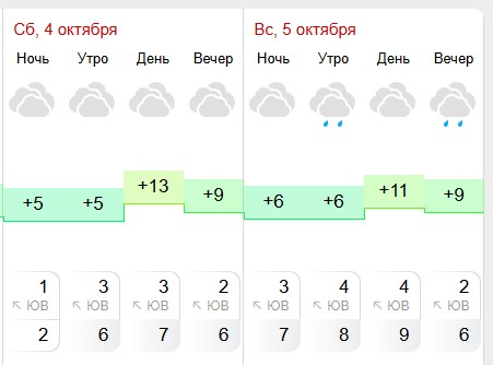 Дождик и потепление ждут костромичей на выходных