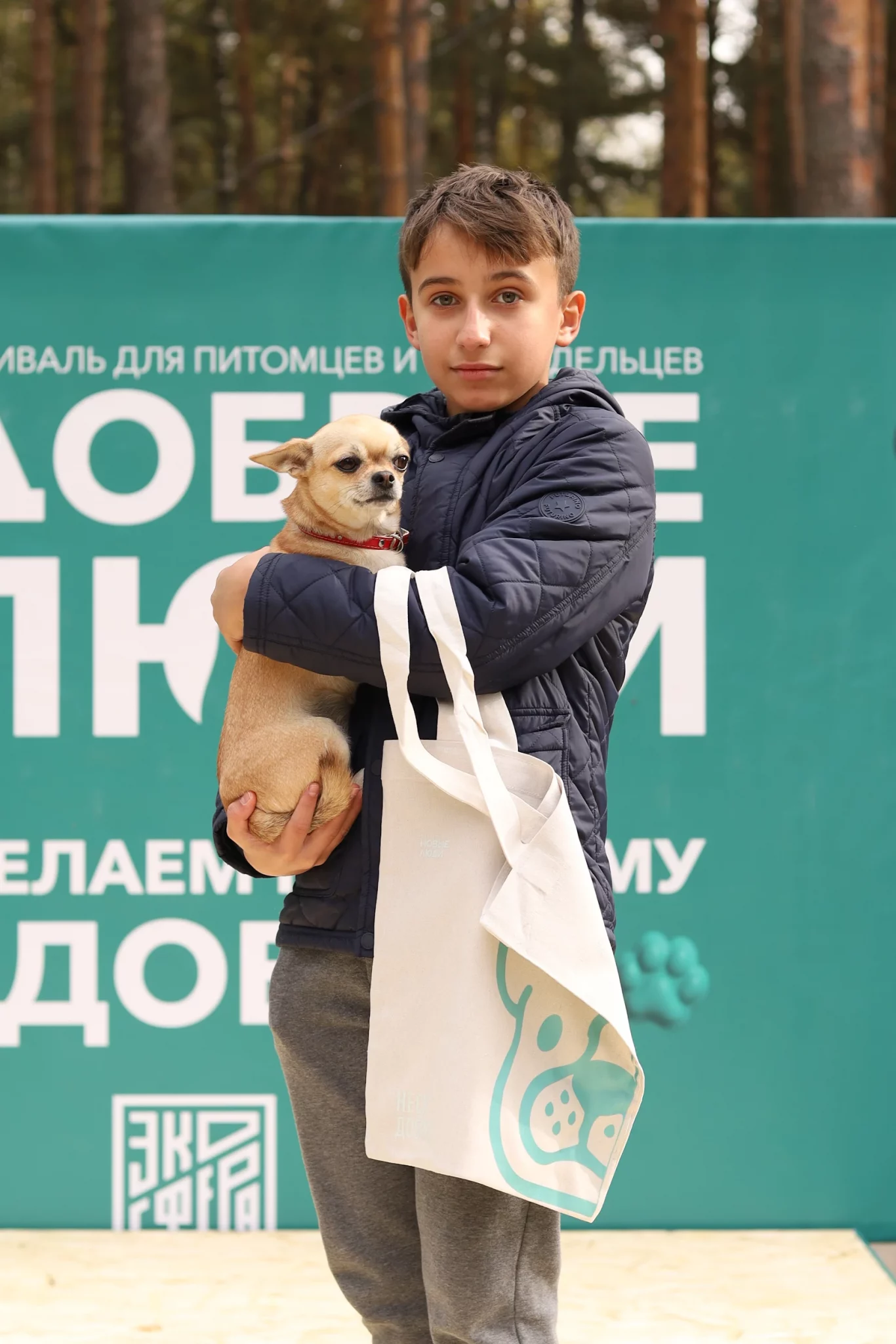 Партия «Новые люди» в Костроме провела акцию в поддержку приютов для животных