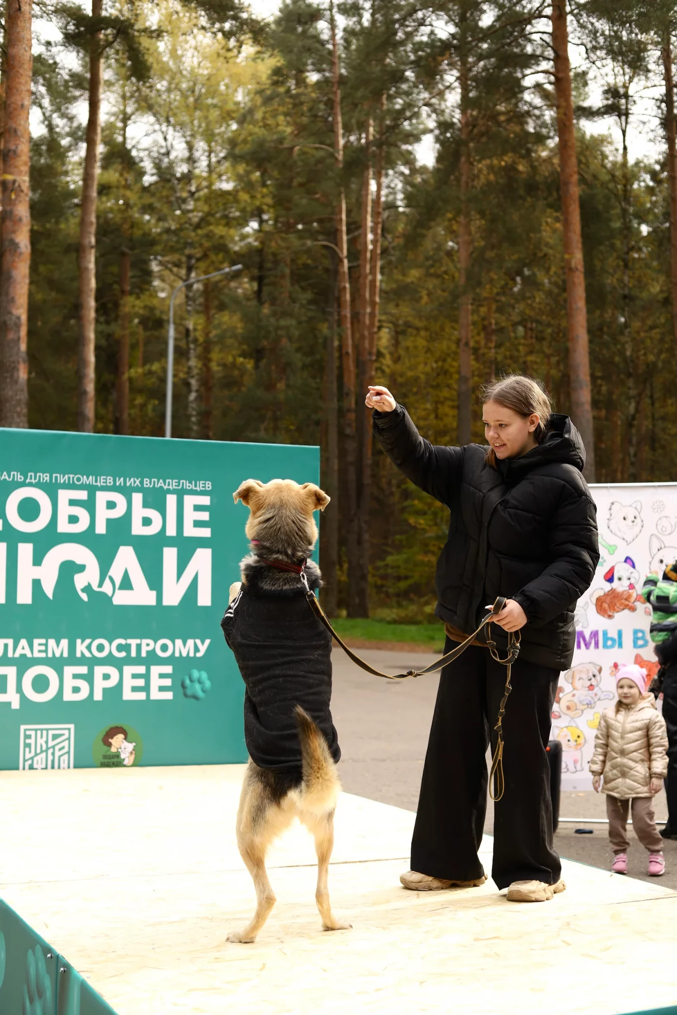 Партия «Новые люди» в Костроме провела акцию в поддержку приютов для животных
