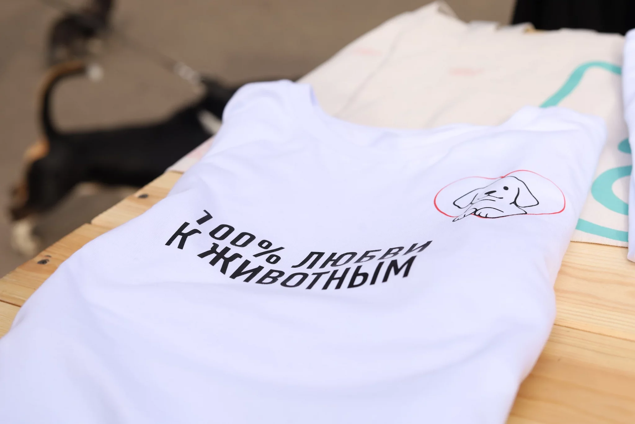 Партия «Новые люди» в Костроме провела акцию в поддержку приютов для животных