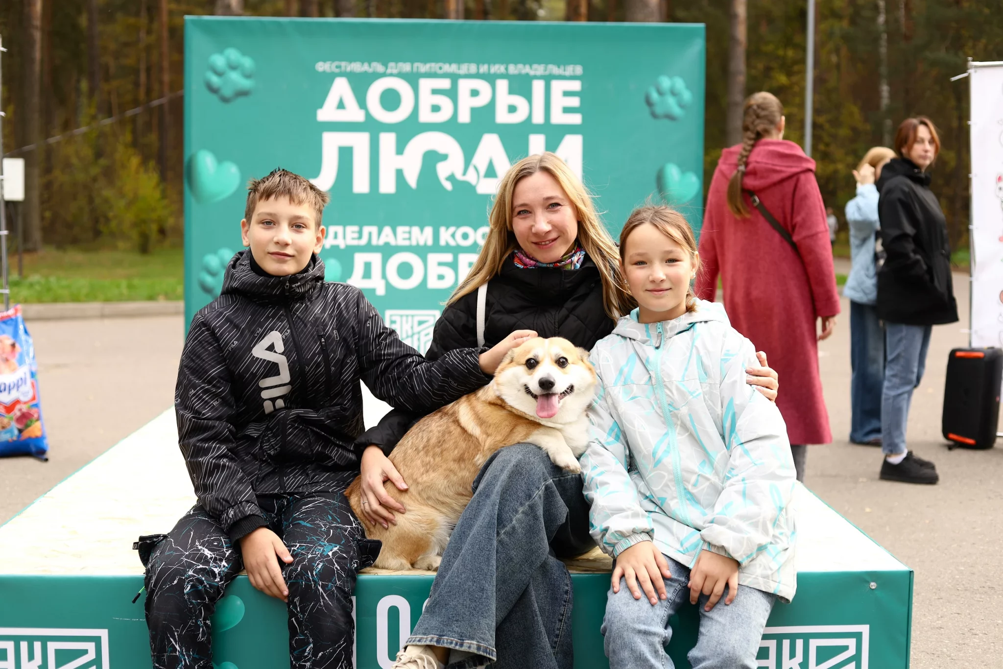 Партия «Новые люди» в Костроме провела акцию в поддержку приютов для животных