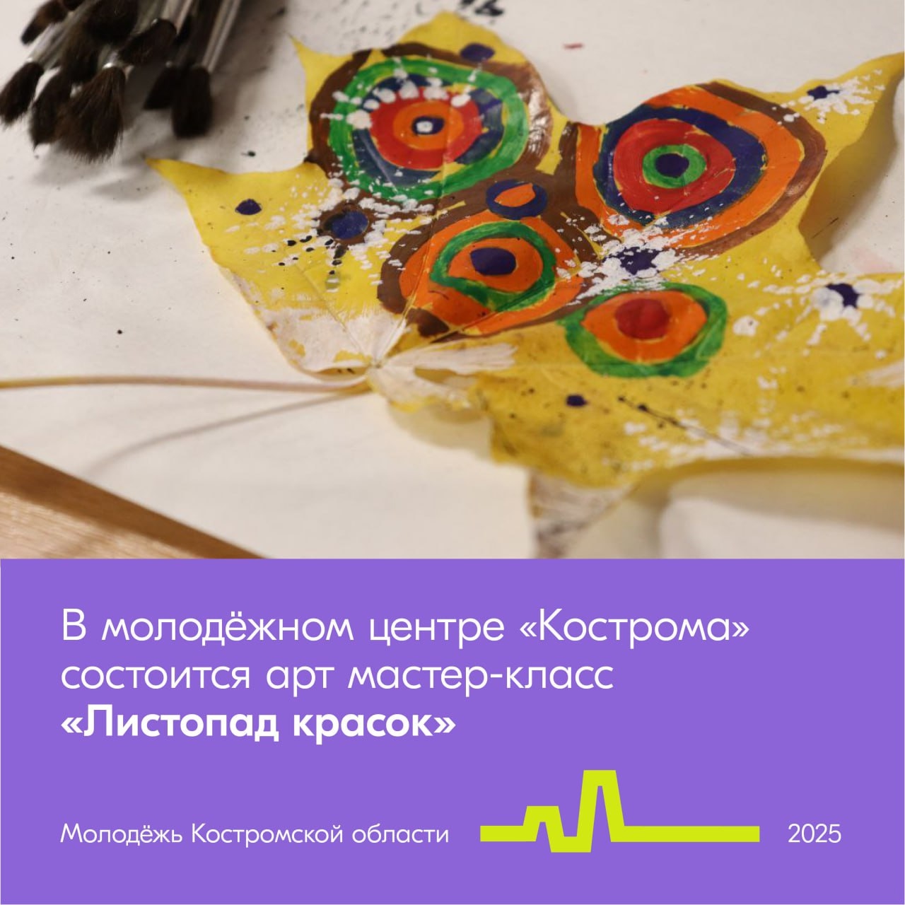 Костромичи разрисуют осенние листья для психологического здоровья