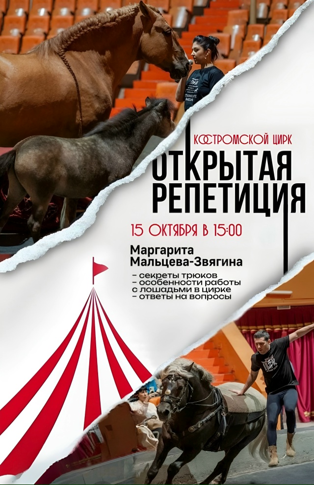 В закулисье: костромичи могут попасть на репетицию звезды цирка