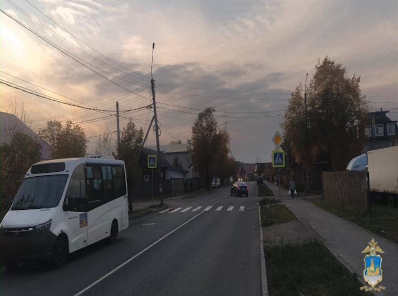 Сына обидели: в Костроме отец жестоко избил водителя автобуса