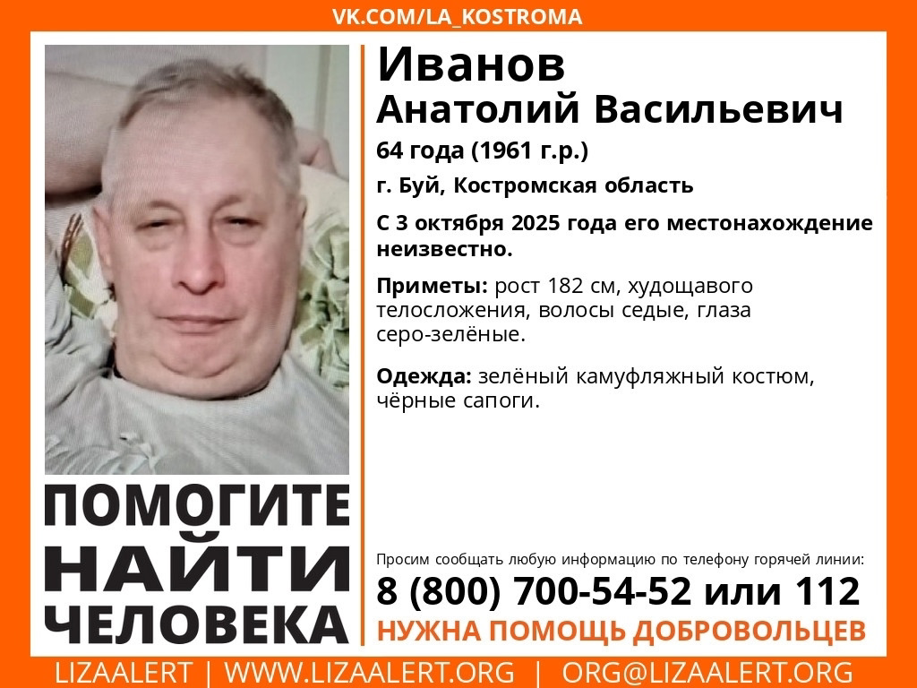 Седого мужчину в камуфляже ищут третий день в Костромской области