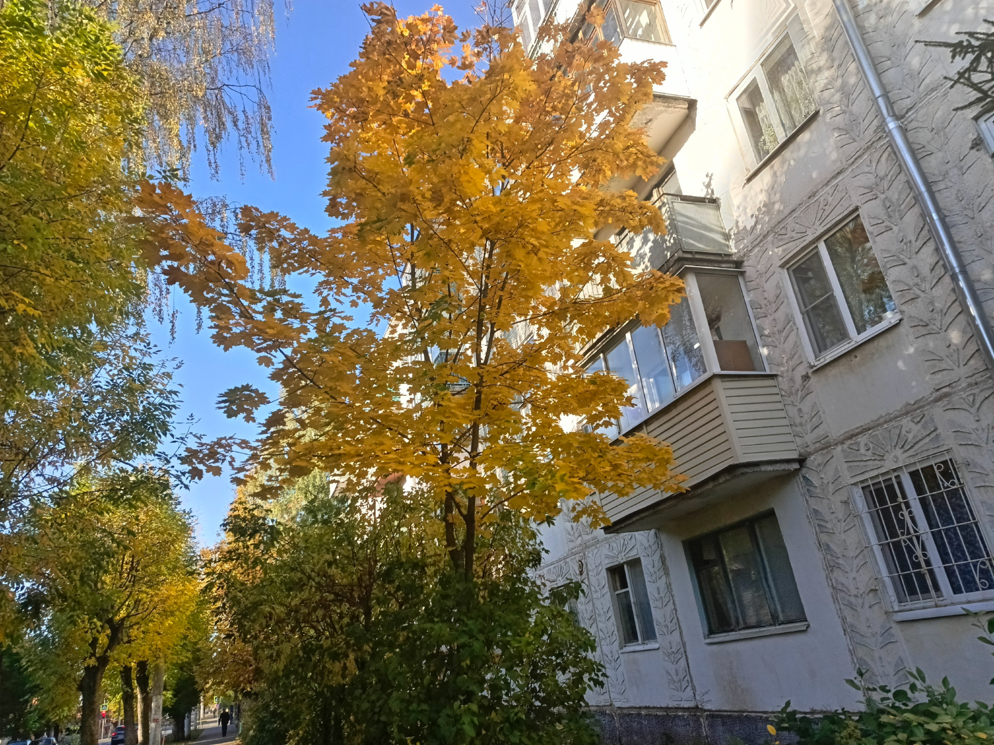 Вдова генерала Кириллова, су-шеф на «Пятнице!» и Ситников в Совфеде: итоги недели в Костроме