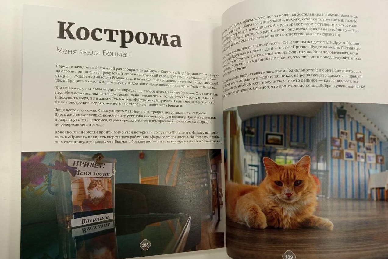 Рыжий Друг из Костромы стал героем нового календаря "Русские котики"