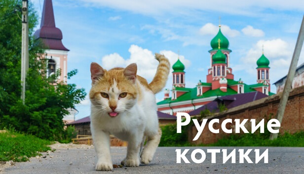 Рыжий Друг из Костромы стал героем нового календаря "Русские котики"