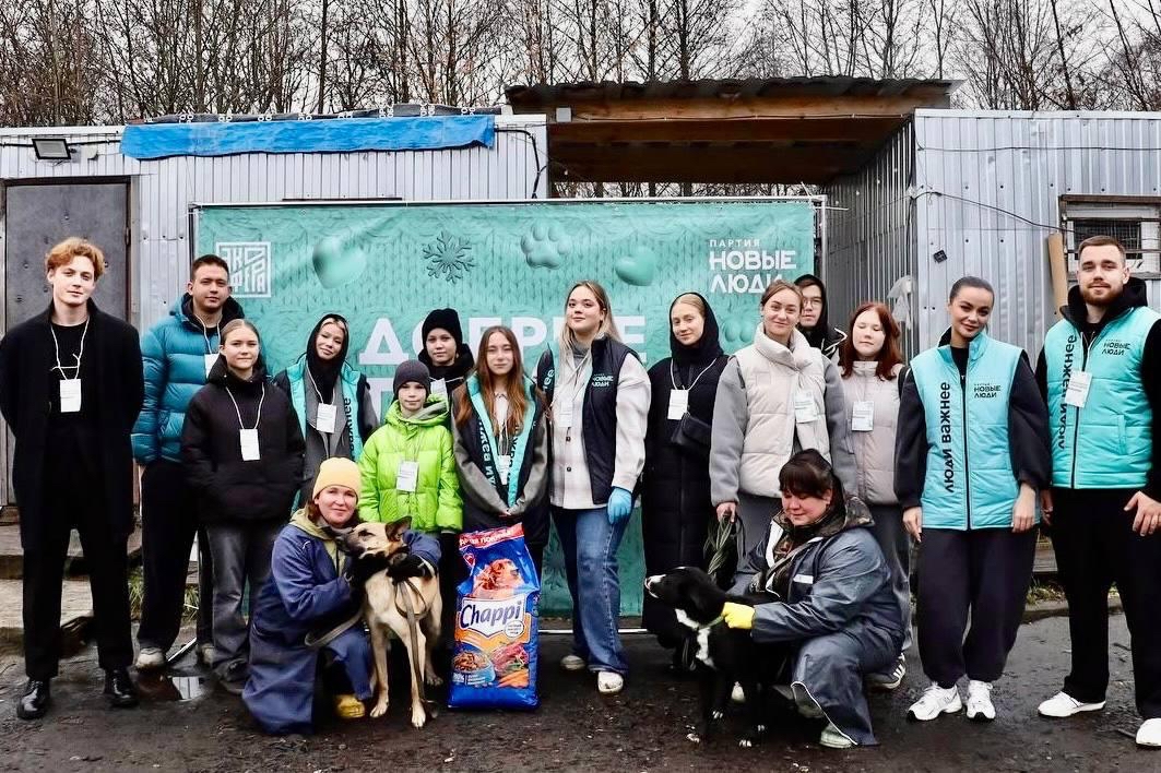 В Костроме «Новые люди» анонсировали программу помощи приютам для животных