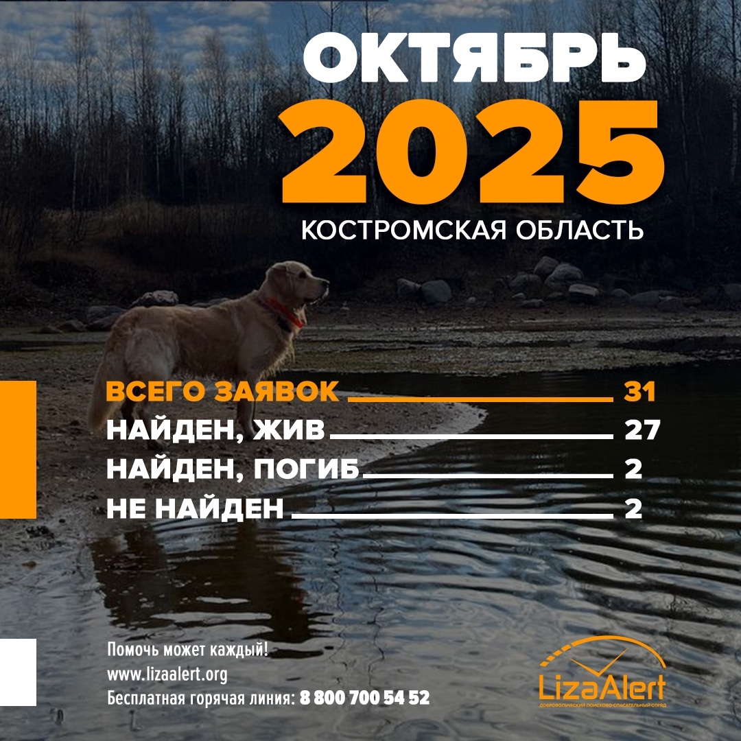 33 человека пропали в Костромской области