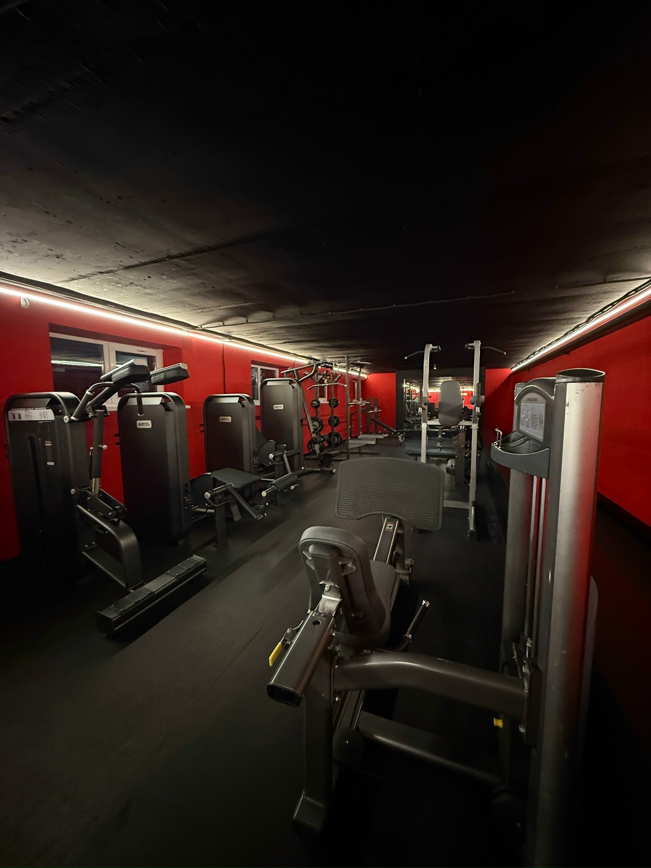 Актер Роман Курцын откроет в Костроме спортзал