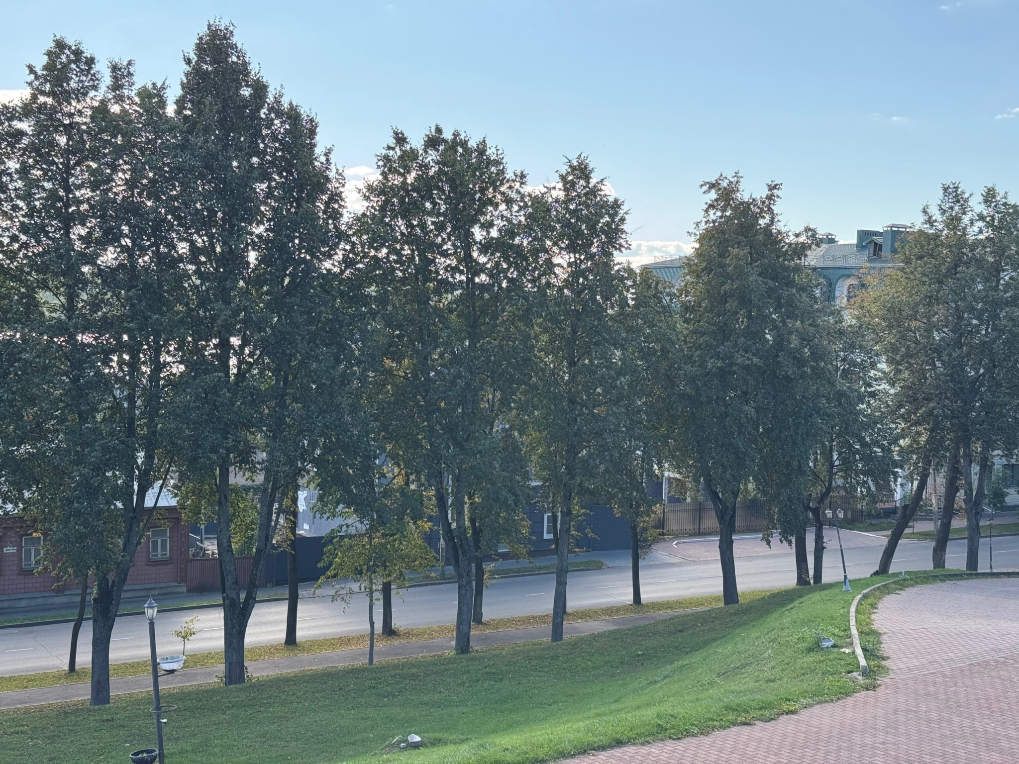 Щепки летят: на костромских улицах началась обрезка деревьев к зиме