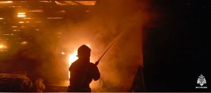 Собачья конура сгорела дотла в костромском селе