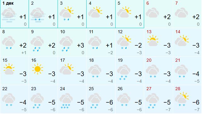 Тёплым и дождливым прогнозируют декабрь в Костроме