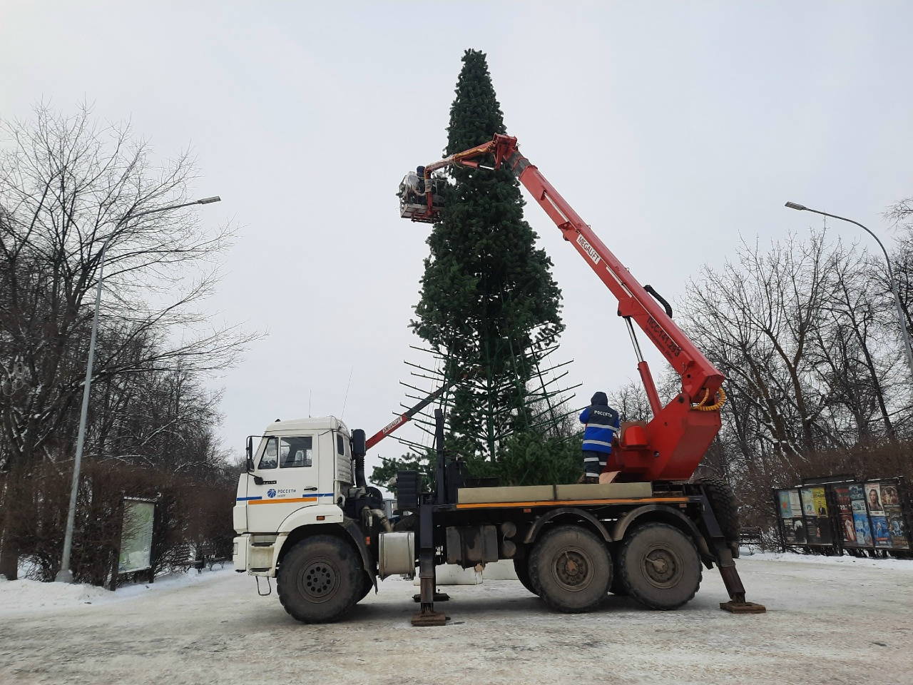 В Костроме главную городскую ёлку установят на Сусанинской площади